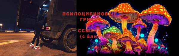 герыч Богородск