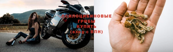 герыч Богородск