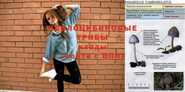 прущая мука Сосновый Бор