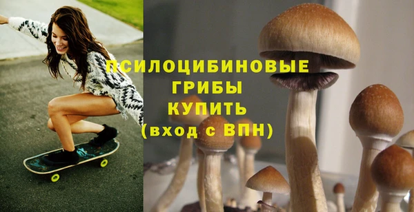 круглые Сосновка